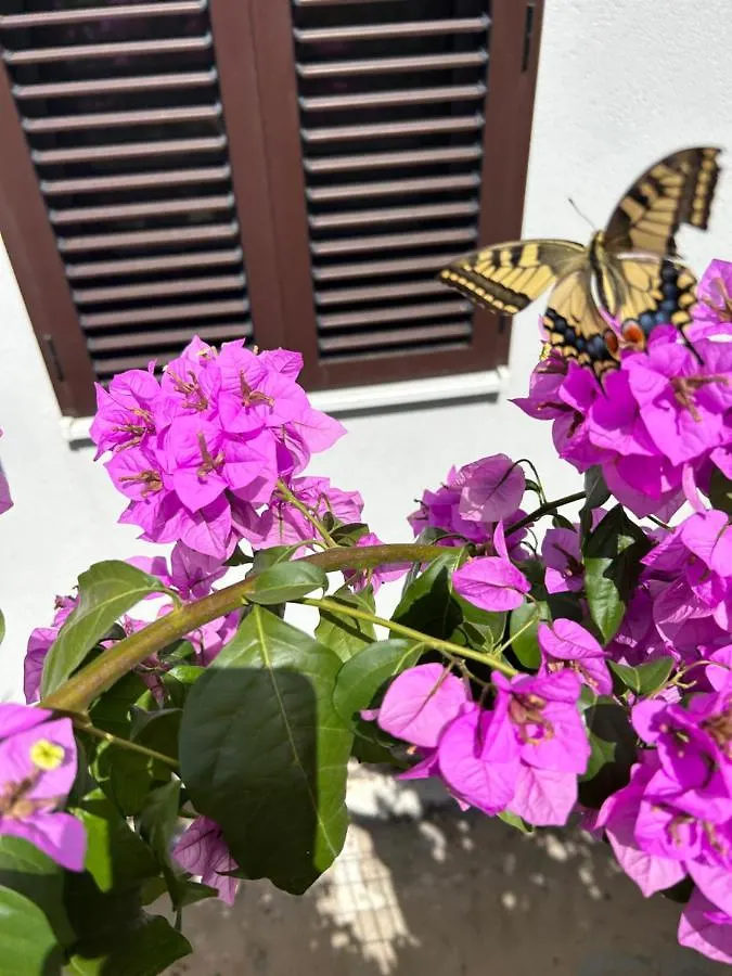Garden Apartment Diana Split